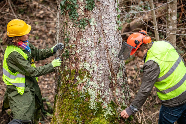 Best Seasonal Cleanup (Spring/Fall)  in Gloucester City, NJ